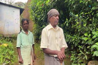 ഇടുക്കി വനരാജ്  കാഴ്‌ചയില്ലാത്ത വനരാജ്  വനരാജും മീനാക്ഷിയും  കാരുണ്യം വേണം  സർക്കാർ സഹായം  Idukki Blindman Vanaraj  Blindman Vanaraj Need Help  Blindman Vanaraj  idukki stories