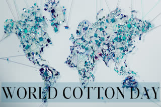 World Cotton Day, an initiative recognised by United Nations General Assembly, highlights cotton's vital role and challenges faced by cotton cultivators.