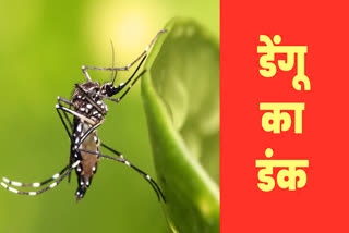 MP Dengue Outbreak