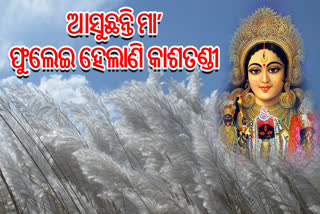 କାଶତଣ୍ଡୀ ପ୍ରକୃତିର ଏକ ଅନବଦ୍ୟ ଉପହାର