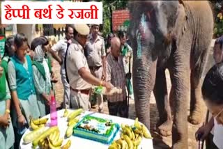 Elephant Rajni 14th birthday