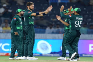 Cricket World Cup: Pakistan thrash Netherlands by 81 runs