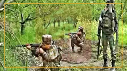 Anti naxal operation