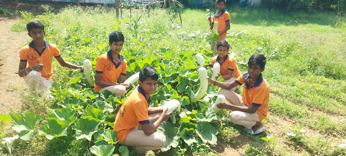 பெரம்பலூரில் இயற்கை வேளாண்மையில் அசத்தி வரும் மாணவ விவசாயிகள்