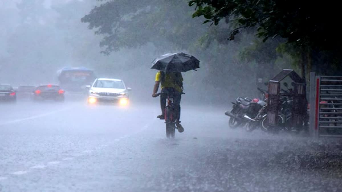 Rain In Haryana