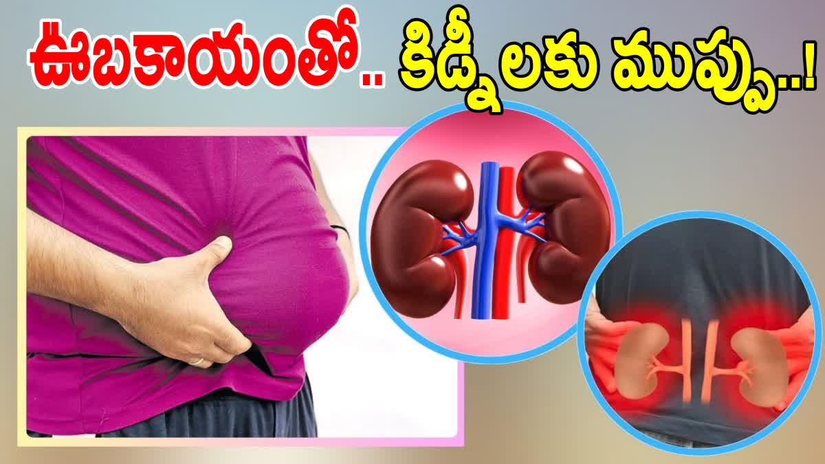 Obesity Impact on Kidney Health