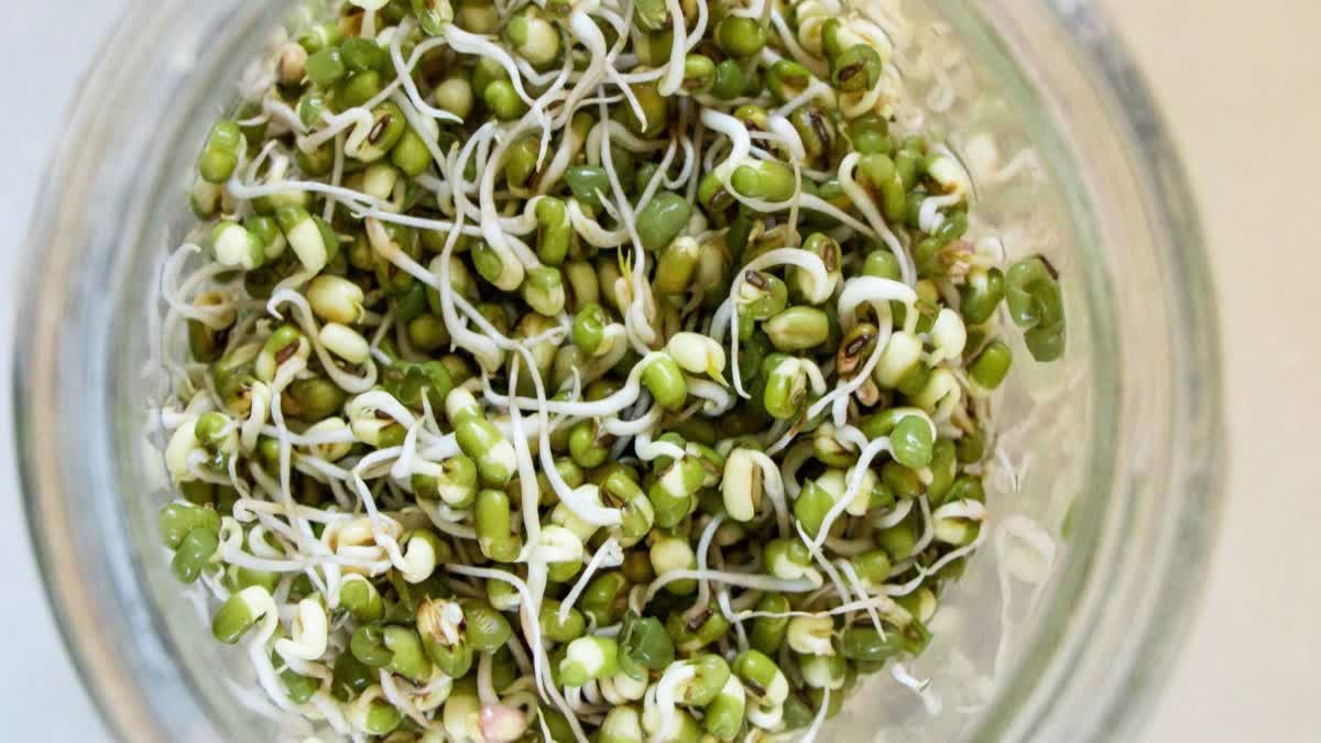 BENEFITS OF SPROUTED GREEN MOONG  HEALTH BENEFITS OF GREEN GRAM  മുളപ്പിച്ച പയറിന്‍റെ ആരോഗ്യഗുണങ്ങൾ  SPROUTED GREEN MOONG BENEFITS