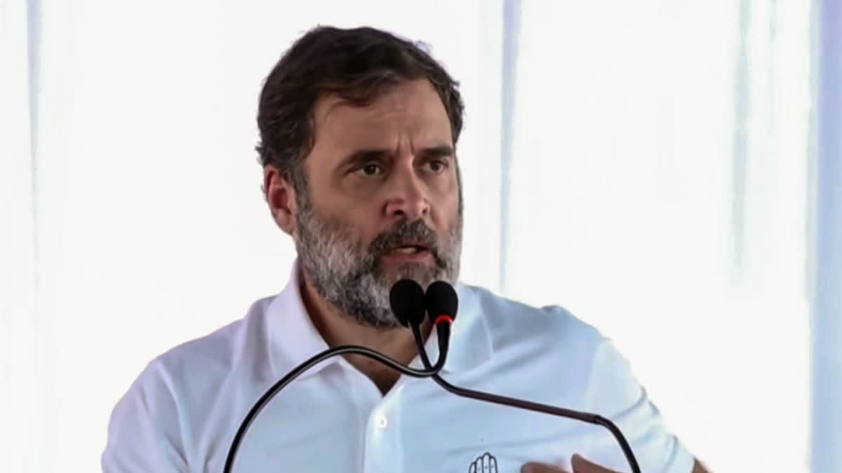 More And More Women's Participation Needed An Parliament, Assemblies: Rahul