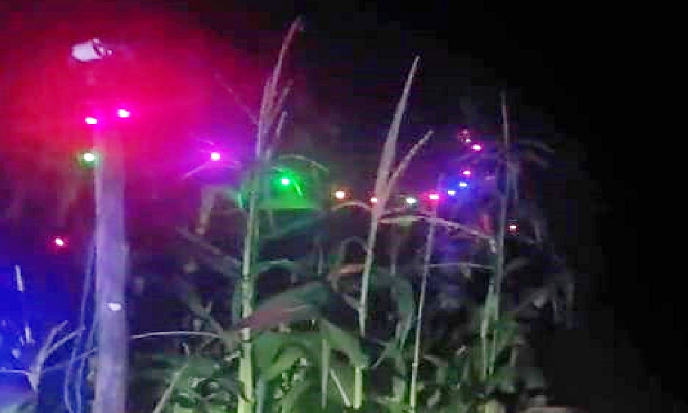 LIGHTS TO PROTECT CROPS