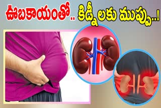 Obesity Impact on Kidney Health