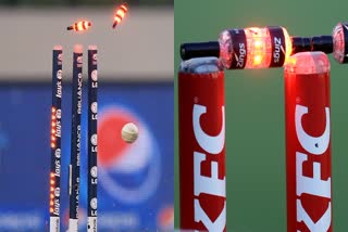 Cricket LED Stumps Cost