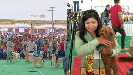 ಪ್ರಾಣಿ ಪ್ರಿಯರ ಗಮನ ಸೆಳೆದ ಮುದ್ದು ಮುದ್ದಾದ ಶ್ವಾನಗಳು