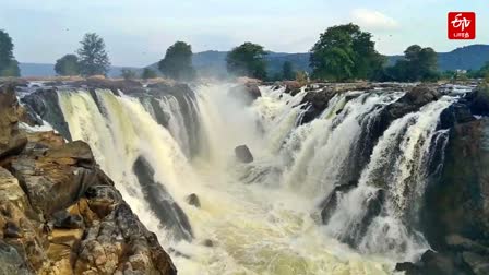 ஒகேனக்கல் காவிரி ஆறு