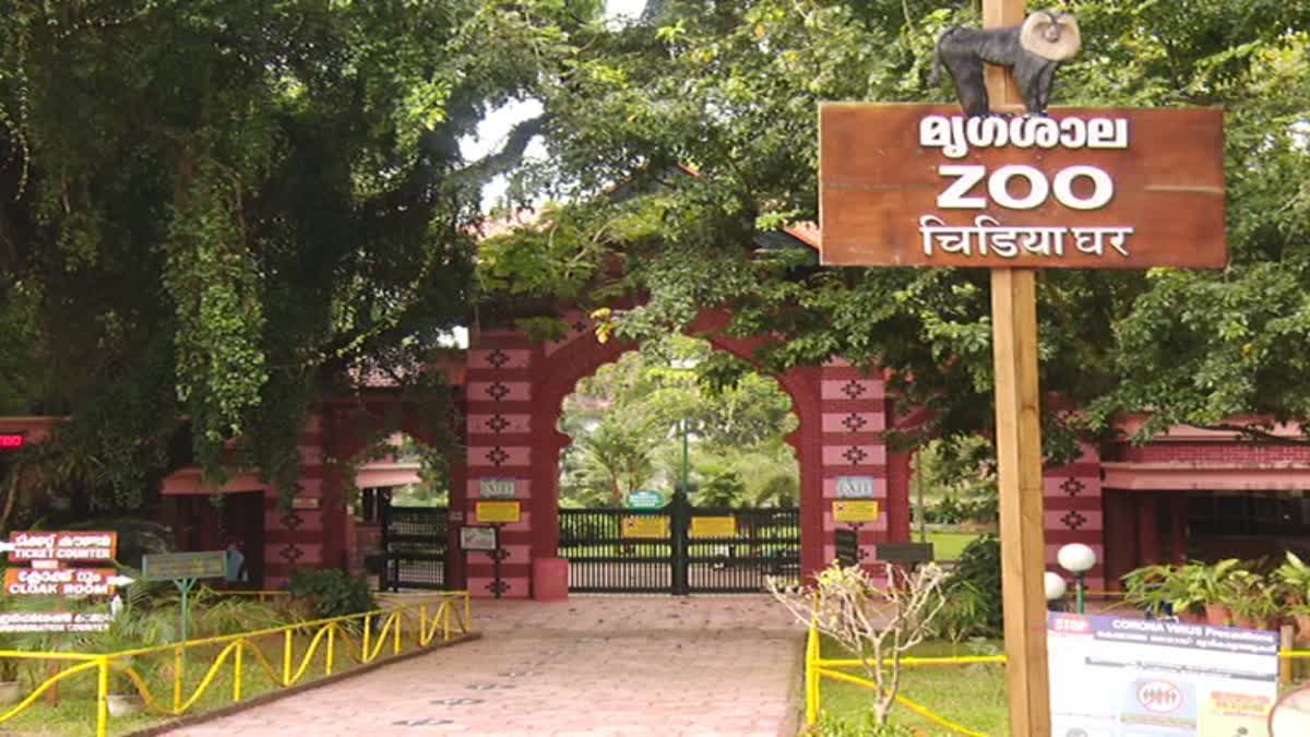 Gray Langur  Thiruvananthapuram zoo  Tirupati Sri Vekateswara Zoo  Lions  Swamp Deer  ഹനുമാൻ കുരങ്ങ്  സിംഹം  തിരുപ്പതി ശ്രീ വെങ്കിടേശ്വര മൃഗശാല  തിരുവനന്തപുരം മൃഗശാല  നീർ കുതിര