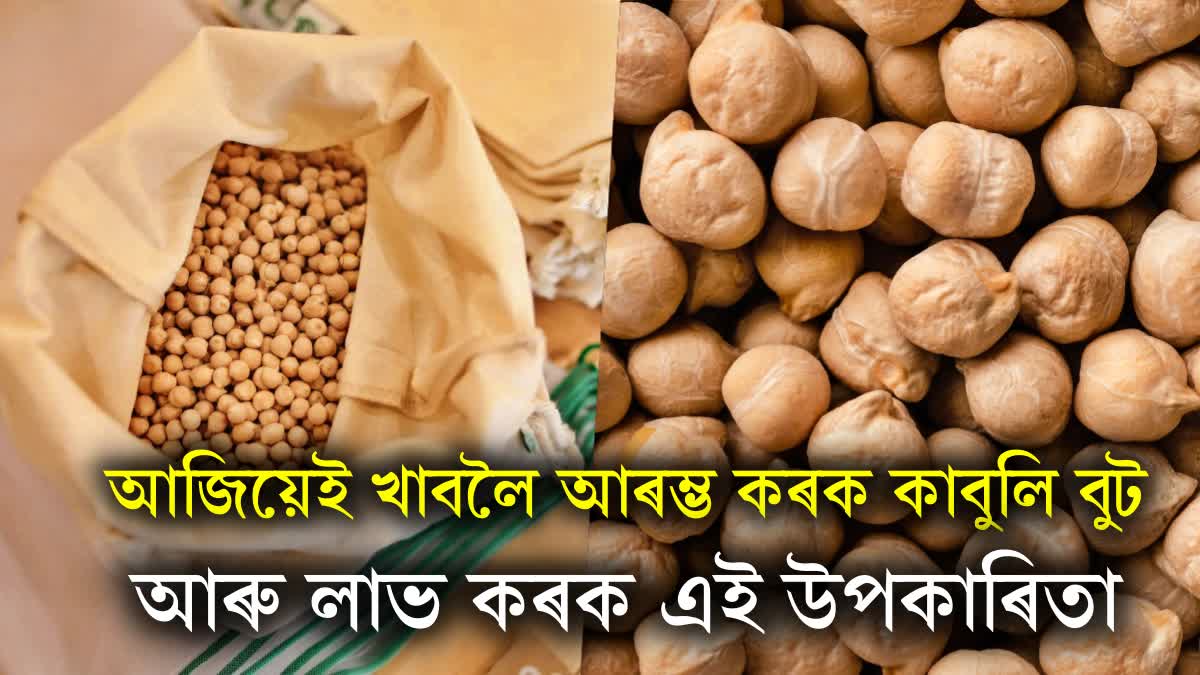 Benefits of Chickpeas Kabuli Chana Chole