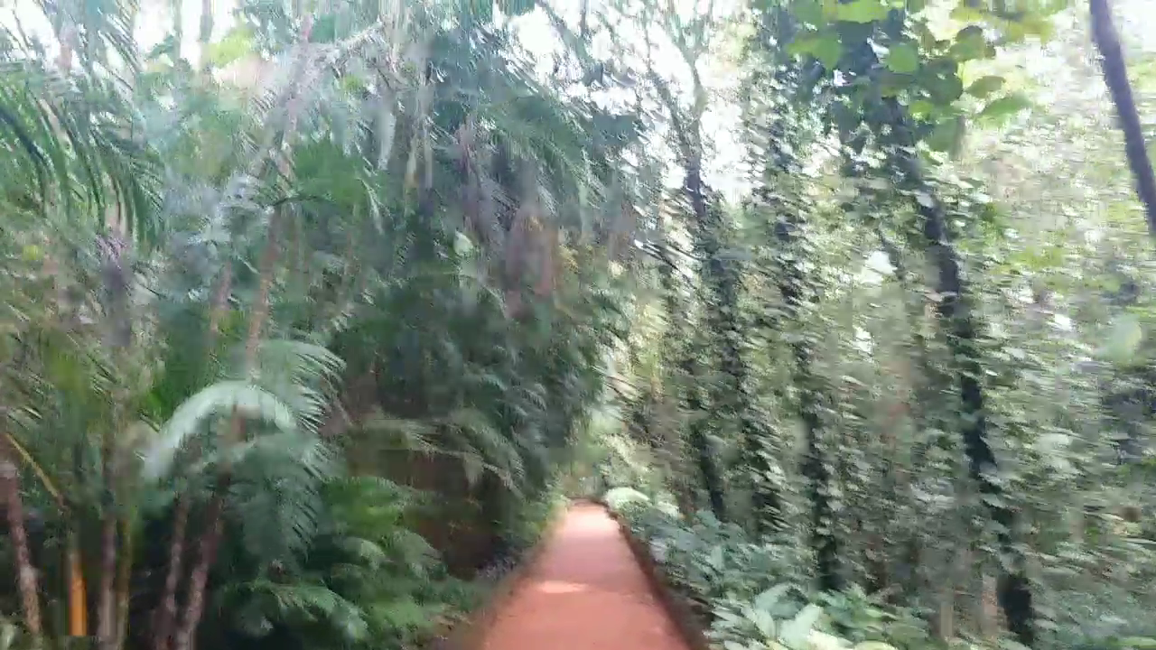 Husband Built a Forest in Wife Memory