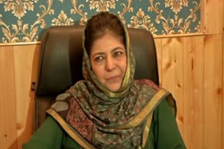 What is collateral damage Mehbooba Mufti questions former DGPs remark over situation in Jammu Kashmir