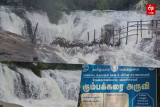 கும்பக்கரை அருவியில் சுற்றுலா பயணிகள் குளிக்க 4 வது நாளாக தொடரும் தடை