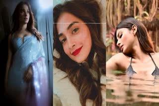 Tamannaah Bhatia pictures  Pooja Hegde pictures  Mouni Roy pictures  തമന്ന ഭാട്ടിയയുടെ ചിത്രങ്ങൾ  പൂജ ഹെഗ്‌ഡെ ചിത്രങ്ങൾ  മൗനി റോയ് ചിത്രങ്ങൾ  തമന്ന ഭാട്ടിയ ദീപാവലി ലുക്ക്  Tamannaah Bhatia pictures saree look  Tamannaah Bhatia diwali look  tamannah latest news