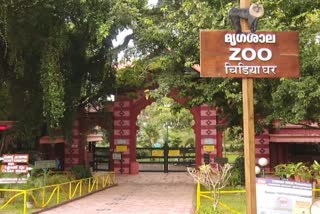 Gray Langur  Thiruvananthapuram zoo  Tirupati Sri Vekateswara Zoo  Lions  Swamp Deer  ഹനുമാൻ കുരങ്ങ്  സിംഹം  തിരുപ്പതി ശ്രീ വെങ്കിടേശ്വര മൃഗശാല  തിരുവനന്തപുരം മൃഗശാല  നീർ കുതിര