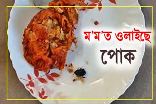 Insects found in hotel food in Golaghat