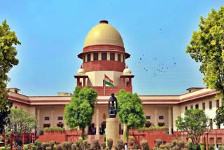 'Pervasive, deeply rooted, must be viewed seriously', SC on sexual harassment at workplace