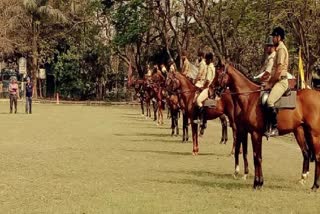 Kolkata Police horse dies on duty outside Eden Gardens, fell ill due to bursting of firecrackers