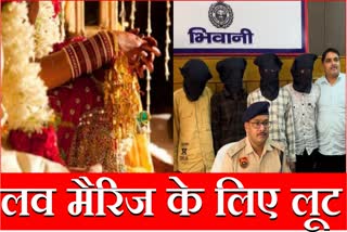 Love Loot Bhiwani Love Marriage Police Reached Jail Before Honeymoon Haryana News ishq Mohabbat Loot Crime News