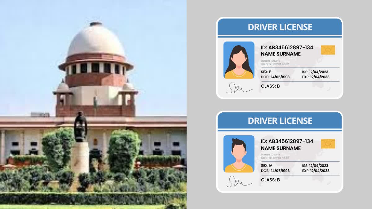 SC On Driving Licence Holders