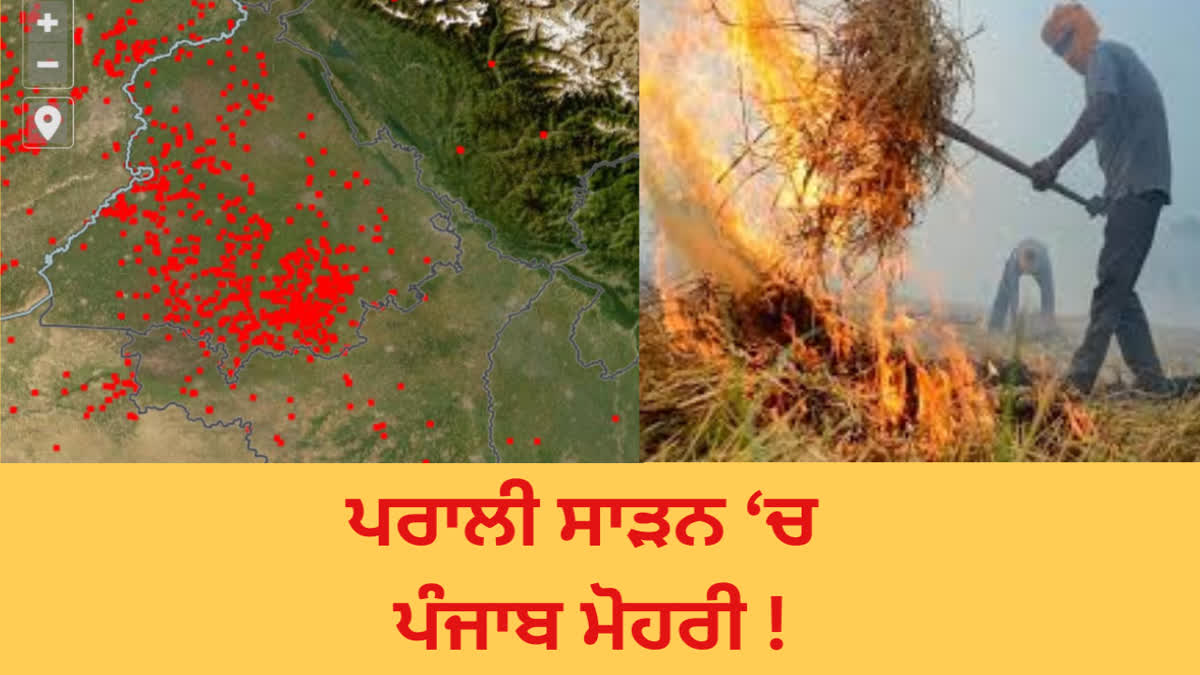 STUBBLE burning in punjab