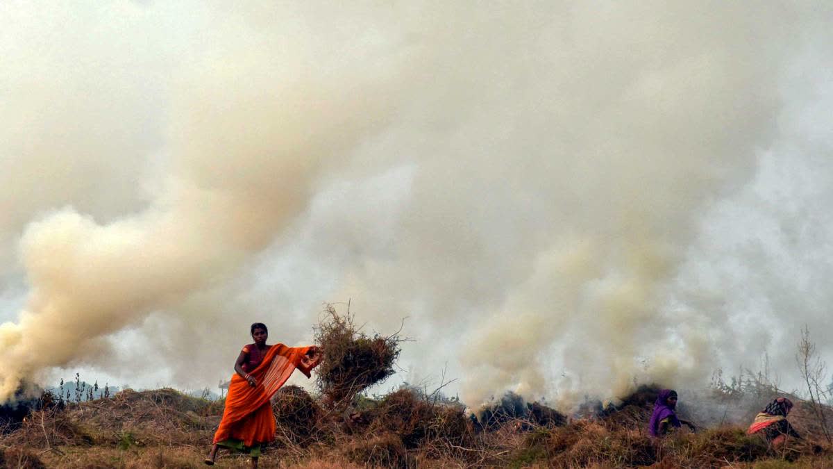 Smoke billows out as a farmers burn stubble in Patiala