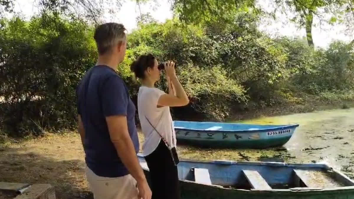 Boating started in Keoladeo National Park