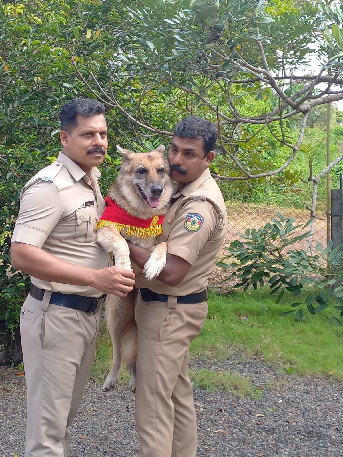 POLICE DOG  പൊലീസ് നായ റൂണി വിരമിച്ചു  POLICE DOG ROONEY  POLICE DOG ROONEY RETIRED