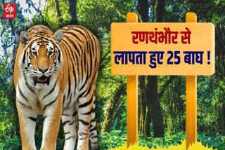 14 Tigers Missing