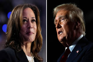 Voters in a polarised US chose between Donald Trump and Kamala Harris in a contentious 2024 election, with the economy and democracy at the forefront.