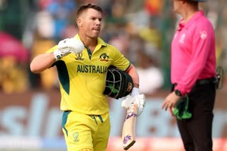 David Warner Captaincy