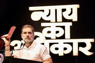 rahul gandh