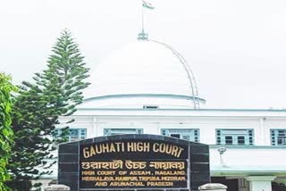 Gauhati HC Issues Notice To Assam Govt On Garbhanga Wildlife Sanctuary Denotification