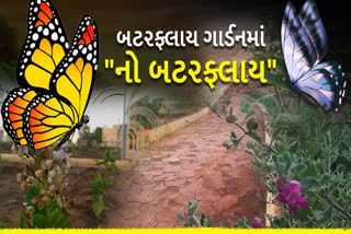 ભાવનગરમાં 2 કરોડના બટરફ્લાય ગાર્ડનમાં પતંગિયા જોવા નથી મળતા