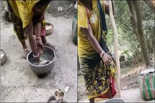 WOMAN WASHES COBRA