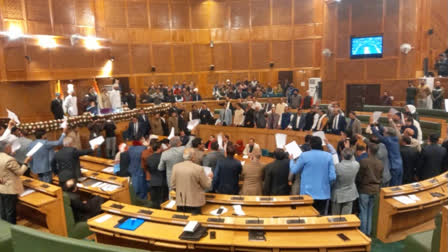 A view of the J&K Assembly in session on Wednesday.