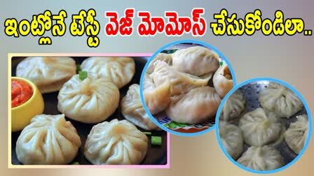 Street Style Veg Momos