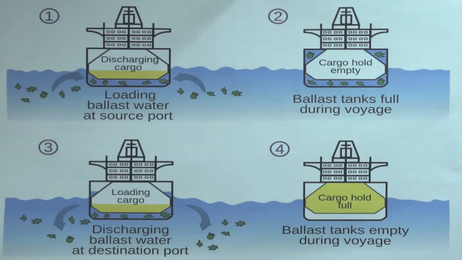 A diagram illustrating how seawater on board is treated and discharged