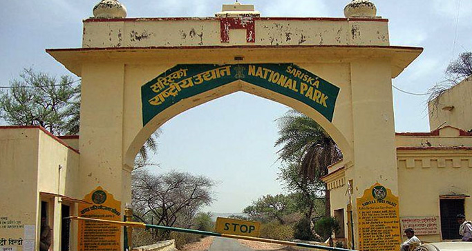 Sariska Tiger Reserve in Alwar Rajasthan