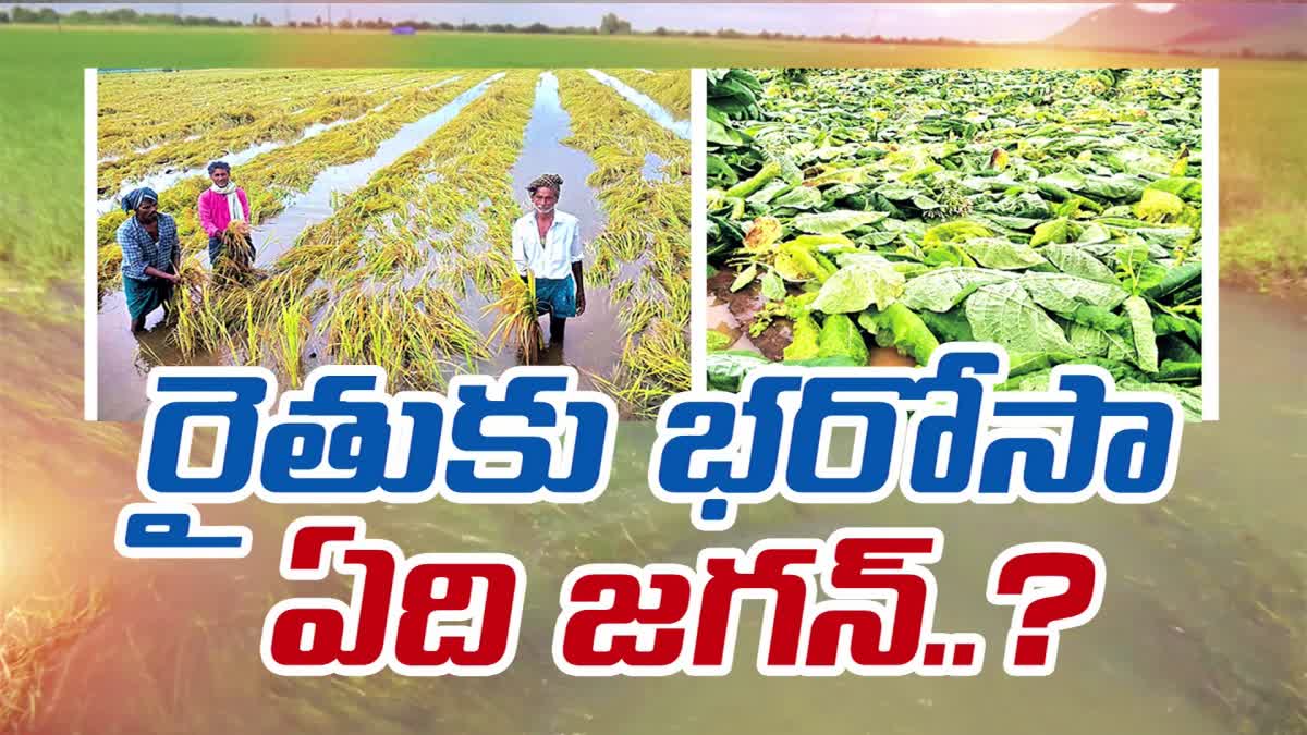 farmers_problems_in_andhra_pradesh