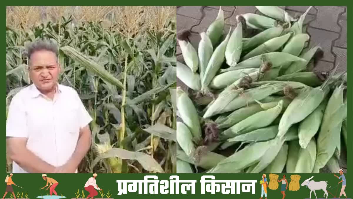 palwal progressive farmer