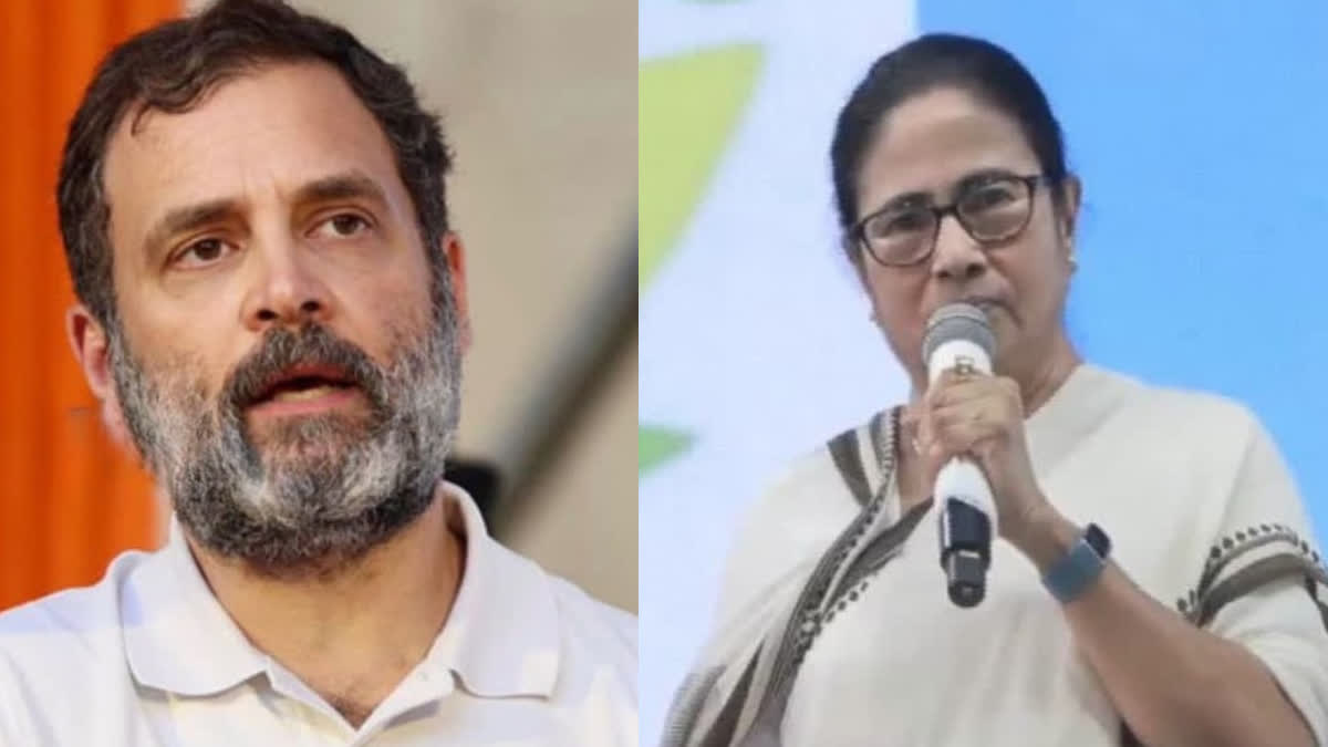 Mamata Banerjee-Rahul Gandhi