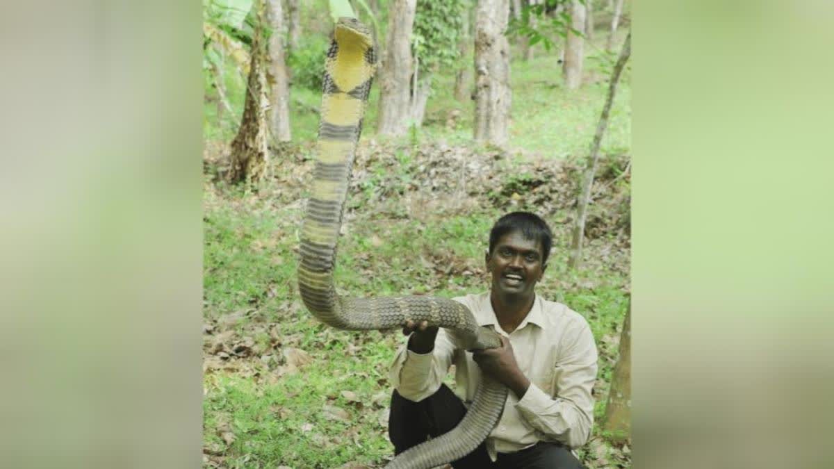 Vava Suresh  Snake Expert Vava Suresh  Advise Of Vava Suresh About Snake  Indian Wildlife Conservationist Vava Suresh  വാവ സുരേഷ്‌  Vava Suresh With Cobra  പാമ്പുപിടുത്തം  പാമ്പുപിടുത്തം വാവ സുരേഷ്‌  എറണാകുളം വാര്‍ത്തകള്‍  എറണാകുളം ജില്ല വാര്‍ത്തകള്‍  എറണാകുളം പുതിയ വാര്‍ത്തകള്‍  kerala news updates  latest news in Kerala  Indian Wildlife Conservationist  വാവ സുരേഷ്‌ പാമ്പുകളെ കുറിച്ച്