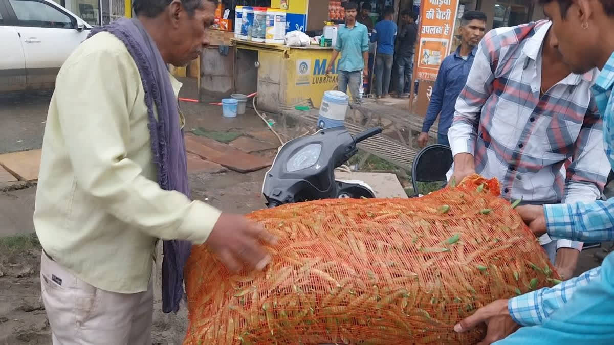 Green peas sold for only one and a half rupees per kg