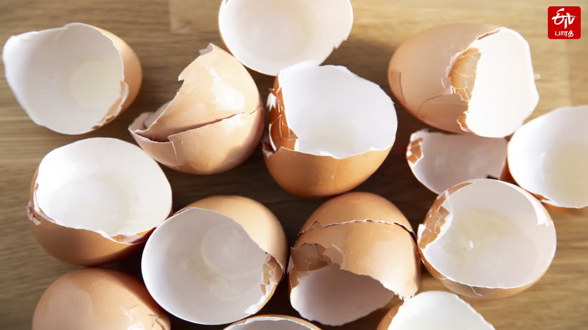 egg shells for beauty care in tamil